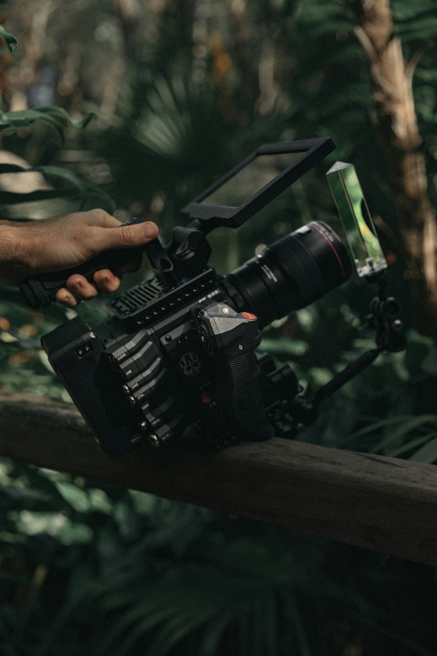 How Video Content Brings Stories to Life